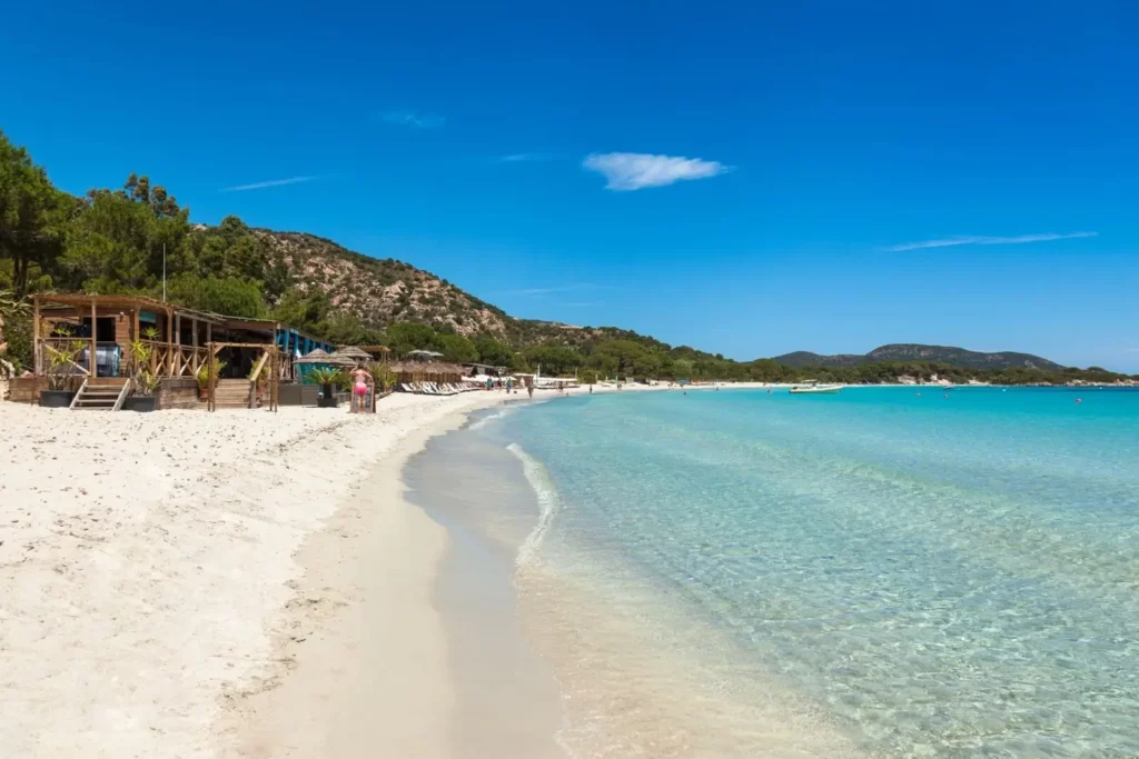 Plage aménagée de Palombaggia – Corse du Sud Plage de sable fin avec pins parasols et rochers rouges en bord de mer, paysage typique de Porto-Vecchio.
