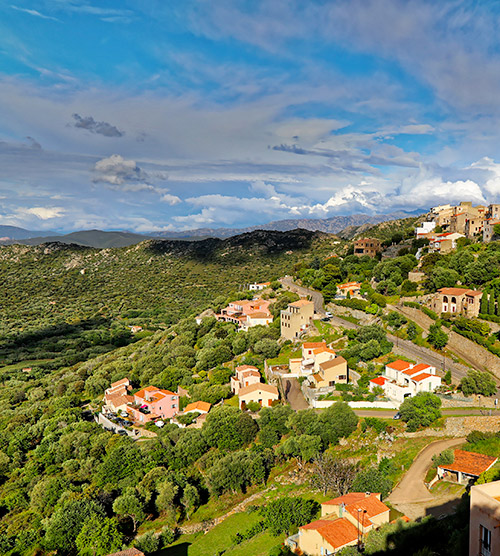 Photo d'un paysage serein à Calenzana montrant des maisons colorées entourées de verdure luxuriante et de collines ondulées sous un ciel bleu.