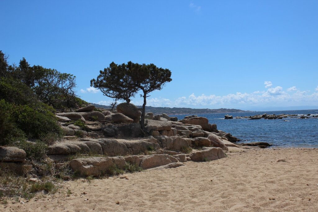 Plage de Talaricciu à Porto-Vecchio : sable doré, rochers, et Méditerranée sous un ciel bleu, idéal pour détente et photographie.
