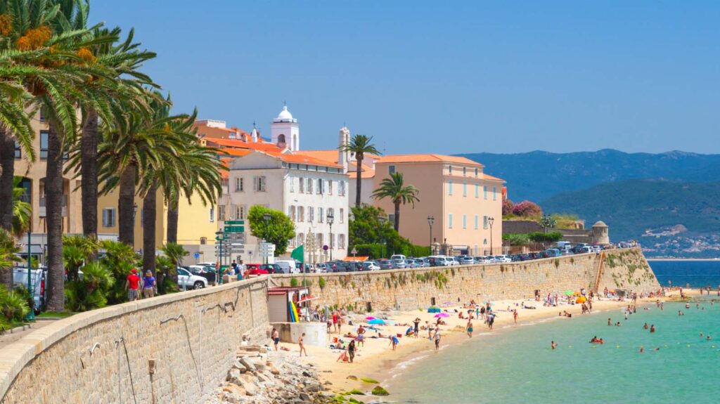 Plage corse en été : palmiers, mer turquoise et ambiance méditerranéenne.