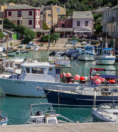 Port pittoresque baigné de lumière d'été avec bateaux colorés et bâtiments historiques en arrière-plan.