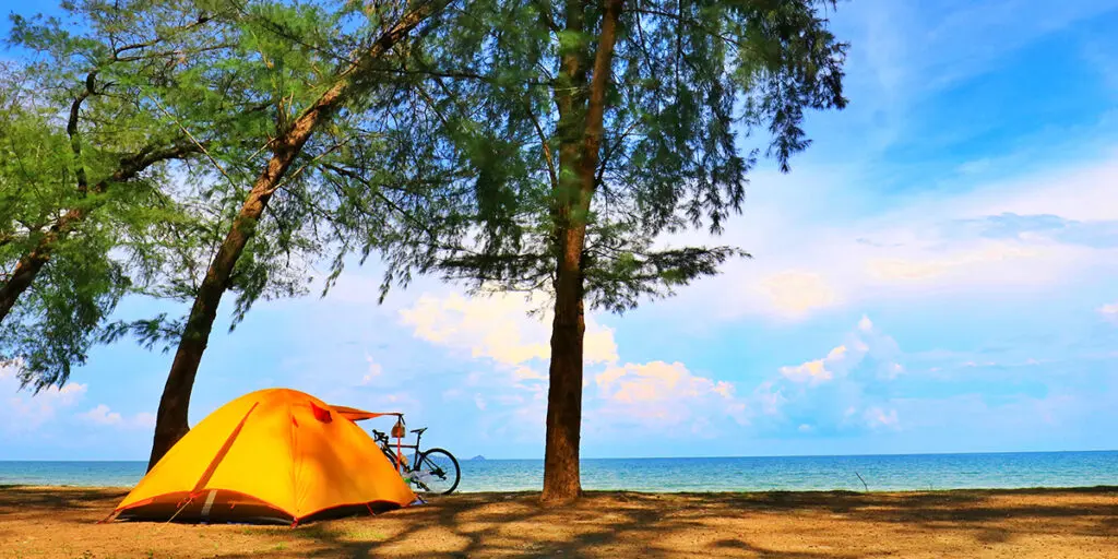 Immagine di una tenda arancione su una spiaggia tranquilla, circondata da alberi maestosi. Un'atmosfera di serenità per gli amanti del campeggio e della natura.