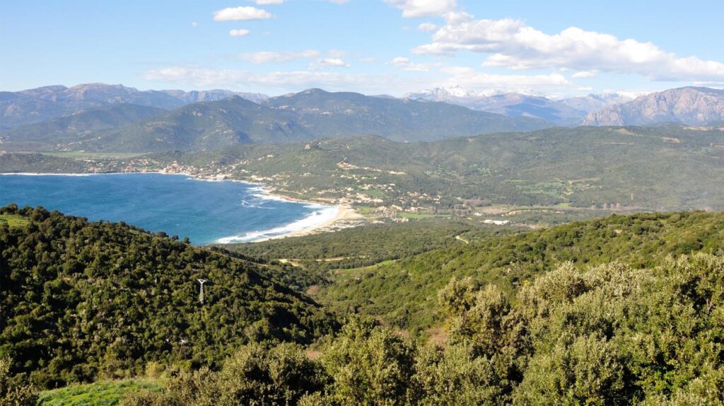 Vue imprenable sur les paysages corses, mer turquoise et montagnes verdoyantes en pleine harmonie