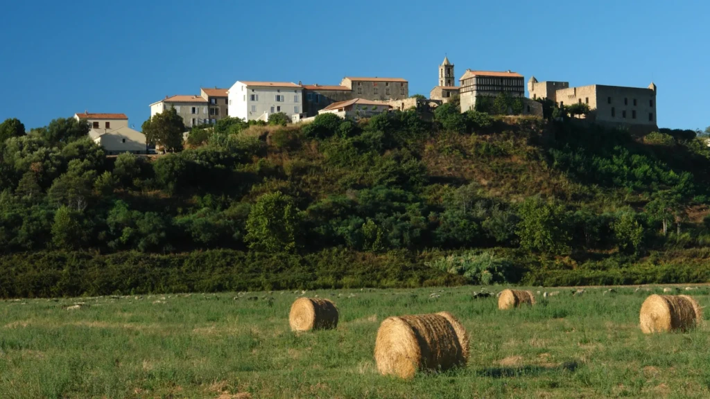 village-historique-aleria-fort-matra Vieux village perché d'Aleria avec l'église et le fort de Matra dominant une colline boisée, au-dessus d'un champ parsemé de balles de foin.