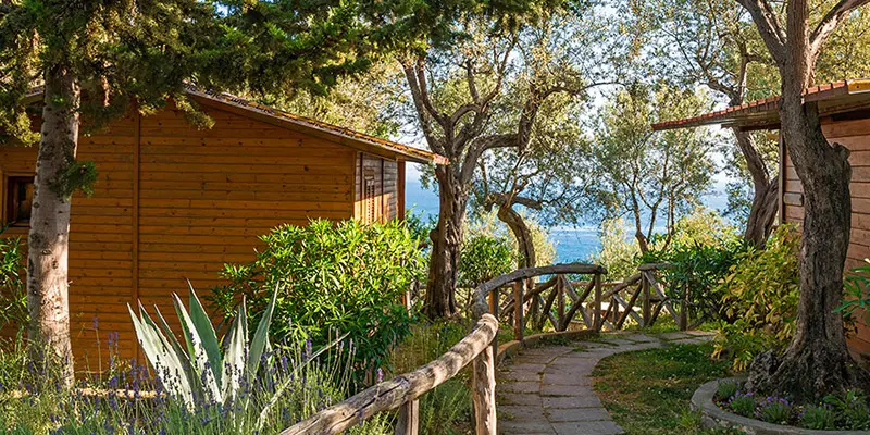 A charming path through lush nature, leading to bungalows surrounded by colorful flowers, offers a peaceful and serene escape.