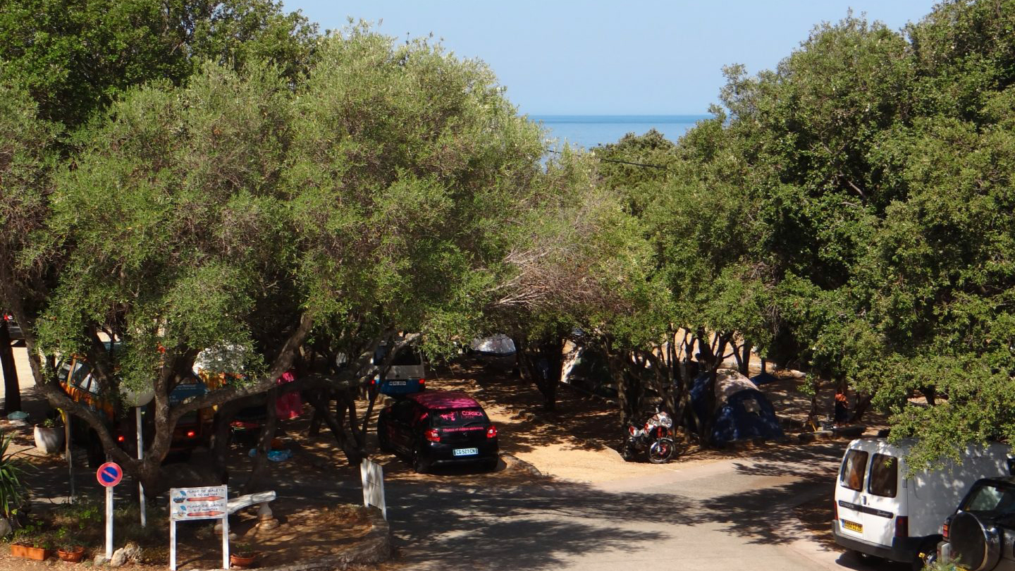 L'image montre un campement tranquille sous les arbres, parfait pour des vacances relaxantes en Corse, avec la plage à proximité.