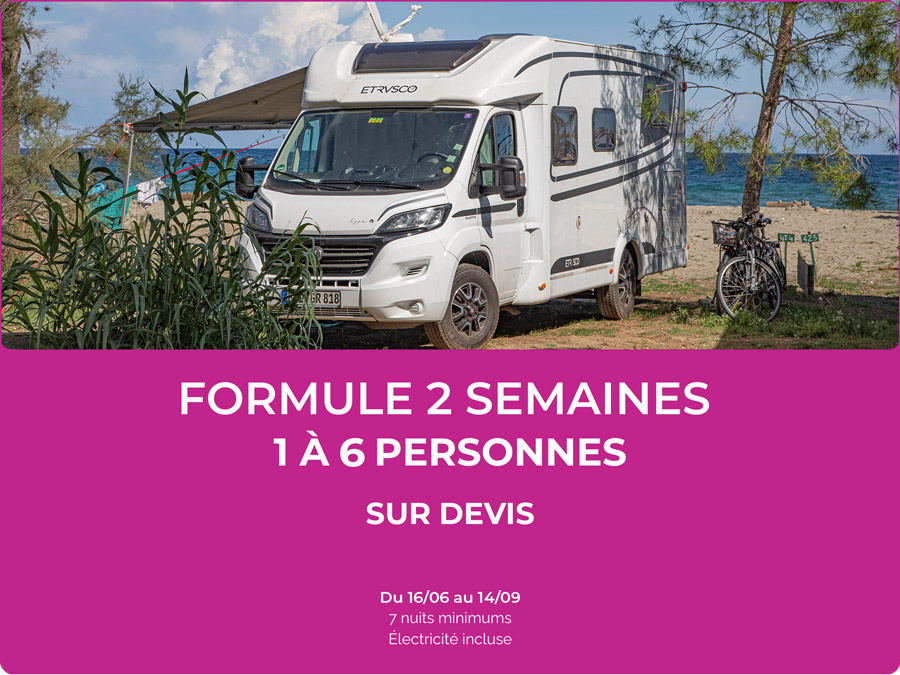 Van confortable sur plage idyllique pour vacances en plein air, idéale pour familles ou amis, offrant liberté et confort moderne.