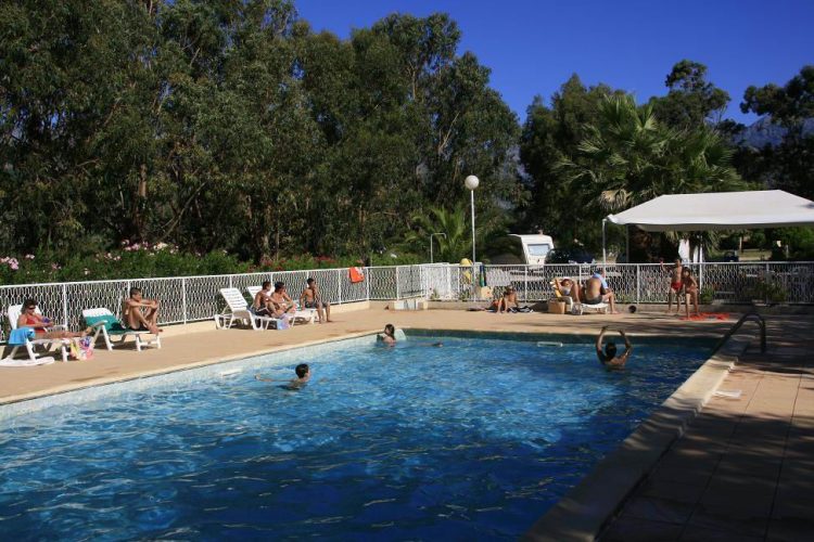 Cette image illustre la joie d'une journée estivale en famille ou entre amis autour d'une piscine en Corse. Des vacanciers se détendent sous le soleil de Calvi, dans le cadre paisible du camping Paradella, entourés de palmiers et de parasols.