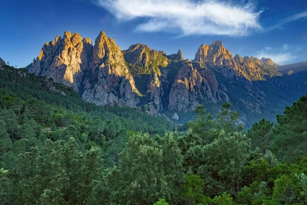 Tous les meilleurs campings en haute corse Aiguilles rocheuses de Corse dominant une forêt de pins denses sous un ciel bleu.