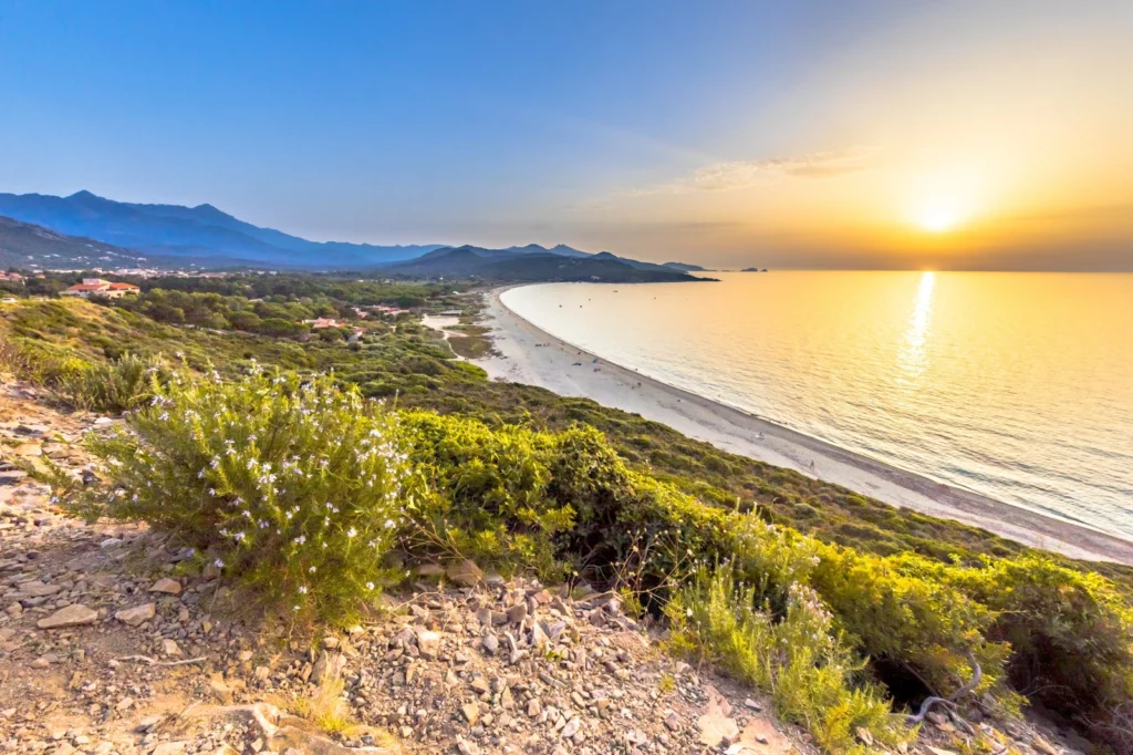 Plage de Calvi Sonnenuntergang an einem korsischen Strand, umgeben von mediterraner Vegetation und Bergen am Horizont. (Für den Artikel „Was man 2026 in Korsika unternehmen kann“)