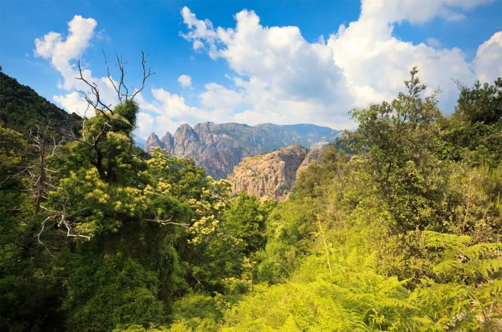 GR20 by sections, accessible routes + campsites nearby (north & south)