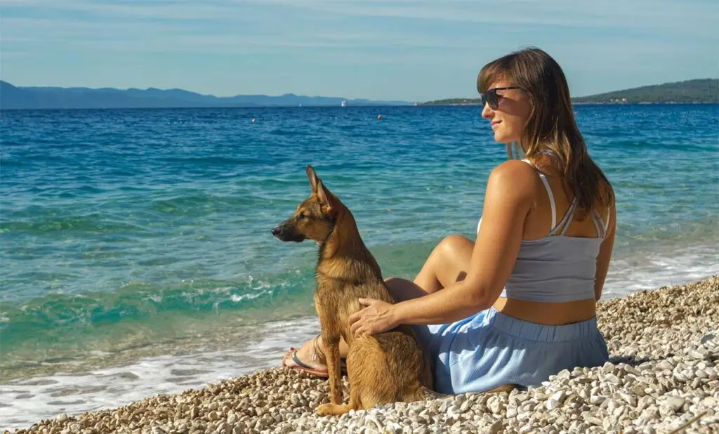Viaggiare in Corsica con il cane: campeggi pet-friendly, regole e spiagge consentite