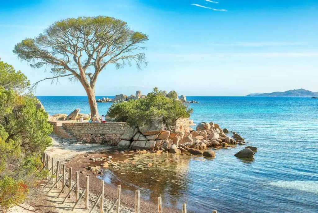 Vacanze in Corsica: come trovare un campeggio economico senza rinunciare al comfort?