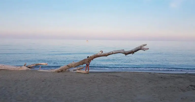 Linguizzetta spiaggia Côte Orientale