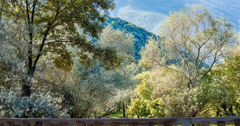 Restonica-Tal in Corte im Zentrum Korsikas