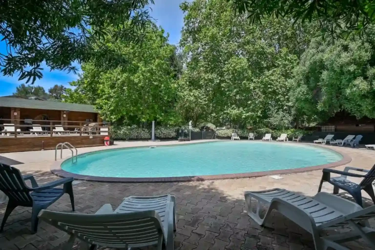 Piscine du camping Olzo à Saint-Florent, entourée de végétation exotique et de palmiers, Haute-Corse.