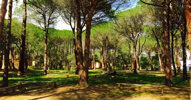 Camping in der Natur in Porto-Vecchio