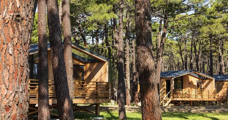 Chalets in the pine forest by the sea. 4-star campsite.